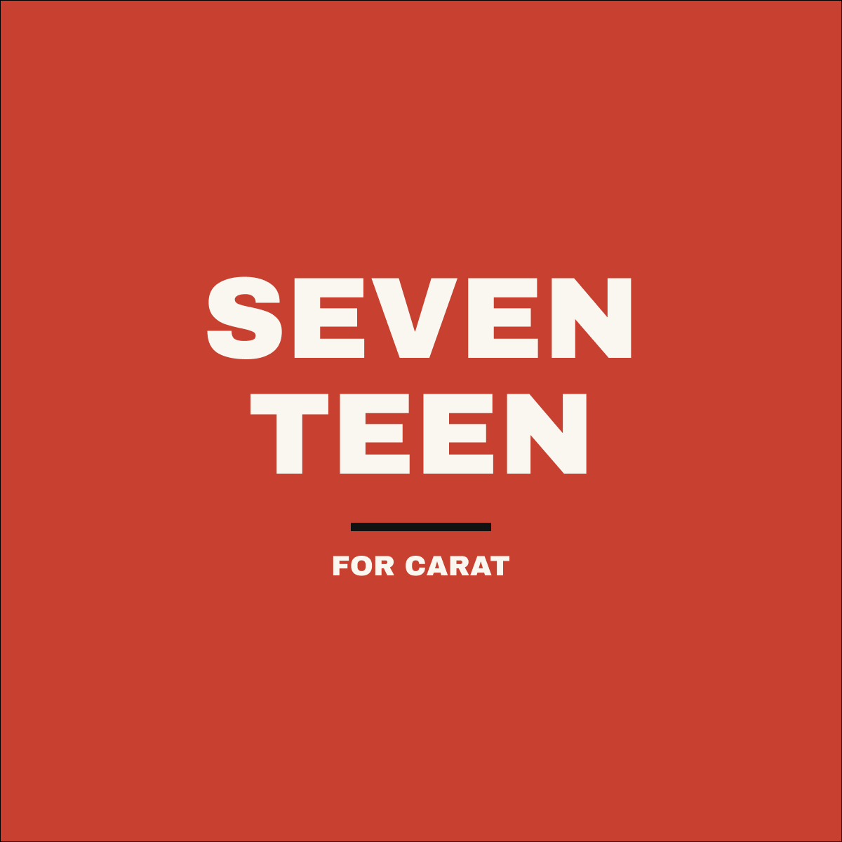 SEVENTEEN merch collection - vintage bootleg KPOP shirts and hoodies for CARAT