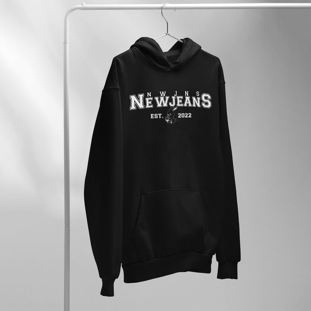 NewJeans Est 2022 Song Collect Hoodie - Hang view, Y2K kpop concert hoodie