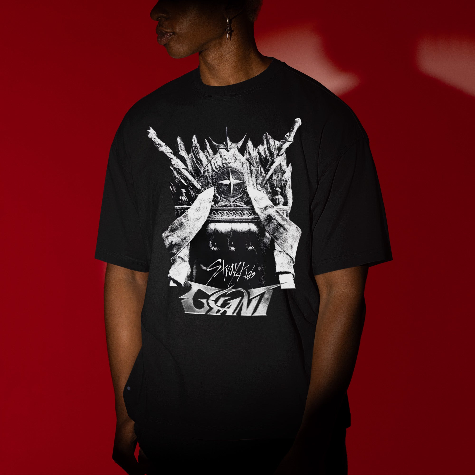 Stray Kids Giant Album Cover T-Shirt - Men view, Y2K kpop concert tee
